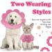 Soft Adjustable Neck Ruff Collar for Pets - Elizabethan Anti-Bite Cone for Cats & Small Dogs - 2 Pack (Pink S) | A-Rosa - Buy Online on GoSupps.com