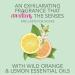 Jergens Awaken Essential Oil-Scented Stick - Calming Aromatherapy with Wild Orange & Lemon | 0.9 Oz - Shop Internationally - Buy Online on GoSupps.com