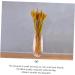 Zerodeko 100pcs Dried Wheat Ears Bouquet Decor Flowers Wheat Ear Dried Flowers Bouquet Wheat Stalks Floral Arrangement Wheat Ear Wedding Wheat Ear Desktop Gift Dried Flowers. - Buy Online on GoSupps.com