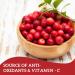 Herbion Naturals Cranfit Cranberry Granules Help Prevent Recurrent Urinary Tract Infections (UTIs) Source of Antioxidants 250 mg Cranberry Extract per Sachet Herbal Formula Dissolves in Water For Adults 10 Sachets - Buy Online on GoSupps.com
