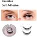 2 Pairs Self Adhesive Eyelashes Reusable Lashes Self Stick Lashes Reusable Waterproof Natural False Lashes Natural Fluffy Curling Long Eyelashes No Magnet No Glue Eyelashes Waterproof - Buy Online on GoSupps.com