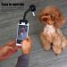 Zerodis Pet Selfie Stick Pet Selfie Tool Flexible Dog Selfie Stick Rod Smartphone Attachment for Dogs Cat Photos Get Your Cat Dog Attention(black) - Buy Online on GoSupps.com