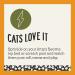 Hoochie Koochie Kitty Catnip 8 oz - All Natural Thick Cut Catnip for Cats - Buy Online on GoSupps.com