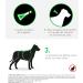 FRONTLINE Combo Dog - Anti Flea Anti-Tick - Protects Habitat1 Eliminates Fleas for 8 Weeks/Ticks for 4 Weeks - For Dogs +40 kg - Made in France - 4 Pipettes - Buy Online on GoSupps.com