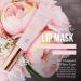 Manna Kadar Beauty Lip Bliss Mask 10g - Hydrating & Nourishing Lip Treatment for Soft Smooth Lips | No More Chapped Lips | Daily Use & Cuticle Care - Buy Online on GoSupps.com