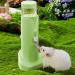 Hamster Water Bottle - Stable Little Pets Automatic Drinking Water Dispenser with Rolling Balls | Pet Animals Water Drinking Bottles for Bunnies Hedgehog Green - Buy Online on GoSupps.com