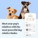 Wisdom Panel Essential Dog DNA Test Kit: Accurate Breed ID, Ancestry & Health | 25+ Conditions | Traits | Relatives - 1 Pack - Buy Online on GoSupps.com