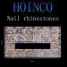 HOINCO Nail Art Rhinestones Kit - 3100pcs 3D Mix Crystals for Nails | Special-Shaped Diamonds in Champagne | Rhinestone Box & Drill Pen Included - Buy Online on GoSupps.com