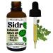 Organic Sidr Oil/Sidr leaf infused in Olive oil/Jujube oil/Traditional Islamic/For Body Hair Beard/Ruqyah // Made in Canada - Muslim Cosmetics - Sidr Oil (1oz (30ml))
