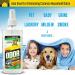 Sweat X Sport Extreme Odor Spray  Multipurpose Deodorizer for Stinky Shoes  Sports Equipment and All Odors  8 Ounce Concentrated Formula  No Washing Required Victory Scent 8 Ounce (Pack of 1) - Buy Online on GoSupps.com