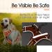 Thinkpet Anti Pulled Dog Harness - Adjustable No Choke Reflective Breathable Design with Handle - Large Orange (1 Pack) for Easy Control | Perfect for International Shipping - Buy Online on GoSupps.com