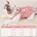WLLHYF Cat Recovery Suit Cat Onesie for Cats After Surgery Breathable Soft Comfortable Anti Licking Cat Spay Recovery Suit for Abdominal Wounds Skin Diseases (M) - Buy Online on GoSupps.com