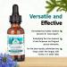 PURELY WILD SpruceAlive - Raw Spruce Resin & Black Seed Oil Complex | Natural Energy & Vitality Support | Wild-Harvested Forest Extract | Dr. Cass Ingram's Original Formula | 2 fl oz with Dropper - Buy Online on GoSupps.com