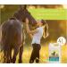 Ferme Olim ga Camelina Oil for Horses 4L Rich in Polyunsaturated Omega-3 Vitamin E Pure and Cold Pressed. - Buy Online on GoSupps.com