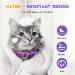 FRDUGA Calming Collar for Cats Cat Calming Collar All New Calming Pheromone Collar for Cats Cat Pheromone Collar Cat Calming Collar for Anxiety Efficient Relieve Anxiety and Stress (4 PCS) - Buy Online on GoSupps.com