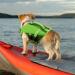 Buy Asenku Adjustable Dog Life Vest - Ripstop Reflective & Durable for Small to Large Dogs - XS Green Perfect for Boating & Swimming - Buy Online on GoSupps.com