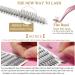 DIY Lash Extension Set - Missicee 240 Pieces 10D/20D Cluster Lashes (8-12mm) with Tweezers & Spiral Brush | High-Quality False Eyelashes for Easy Application - Buy Online on GoSupps.com