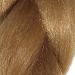 Synthetic Hair for Braiding Rasta Hair Braiding with Hazelnut Brown Xpression Hair for Braids - Buy Online on GoSupps.com