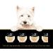 Cesar Wholesome Bowls Adult Wet Dog Food Chicken 85g Pack of 10 Chicken 85 g (Pack of 10) - Buy Online on GoSupps.com