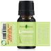 Lemongrass Essential Oil 100% Pure & Natural - Organic Thai Oil for Diffuser & Skin Care 10ml | Premium Grade Cymbopogon Citratus - Buy Online on GoSupps.com
