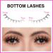 TDANCE Bottom Lashes - 108 PCS Clear Band Under Eye Lash Clusters 5-7mm Mixed Extensions for Stunning Looks | International Shipping Available - Buy Online on GoSupps.com