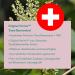 Buy Mono Trans-Resveratrol 500mg Capsules | Vegan | 98% Pure | Premium Quality from Switzerland | 60 Capsules | International Shipping - Buy Online on GoSupps.com