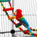 Wooden Climbing Ladder Toy for Small and Medium Birds - 12-Step Design for Parrots, Budgies, Cockatiels, Macaws, African Greys - VTurboWay - Buy Online on GoSupps.com