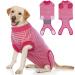 Hjumarayan recreational suit for dogs after the operation medical pet shirt dog protective clothing for small medium large dogs anti-lick protection against wound red striped xxl xxl red striped