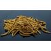 Buy Mr. Flourworm 10L Premium Dried Mealworms | 1.6kg Top Quality Insects | Free DHL Shipping | Perfect Feed Snack for Pets - Buy Online on GoSupps.com