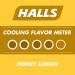 HALLS Relief Honey Lemon Flavor Cough Drops - 30 Count Bag - Buy Online on GoSupps.com