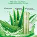 Aloe Vera Color Changing Lip Balm - Moisturizing Gloss Lipstick | 0.15g Beauty Makeup Tool - International Shipping - Buy Online on GoSupps.com
