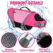 Buy Emust Dog Vest - High Buoyancy Life Jacket for Large Dogs | Adjustable Dog Chiming Vest for Boxers Basset Hounds & More in Pink - Buy Online on GoSupps.com