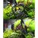 Small and Medium-Sized Fish Fishing Net Aquarium Fishing Nets and Shrimp fishing Small Tropical Fish Fishing Net - Buy Online on GoSupps.com