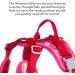 Hurtta Weekend Warrior Harness for Large Dogs - Ruby Red (80-100 cm) | Durable & Comfortable Dog Gear for International Shipping - Buy Online on GoSupps.com