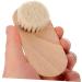 PLAFOPE Nail Cleaning Brush Fingernail Brushes for Cleaning under Nails Toenail Brush Finger Nail Brush to Clean under Nails Finger Nail Brush to Clean Nails Fingernail Scrub Brush - Buy Online on GoSupps.com