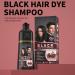 Saveurs - Un Shampooing De Couleur De Cheveux Noirs | Dye Capillaire 500 Ml De Teinturier De Coiffure V g tale - Shampooing De Dyeing Contre Les Cheveux Gris Pour Hommes Femmes Hydratantes La Maison 1 g (Lot de 1) - Buy Online on GoSupps.com