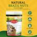 Sunbest Natural Whole Brazil Nuts - Unsalted for Snacking, Baking, and Cooking - Non-GMO & Vegan - Raw Nut Snack Packs - 15 oz - Buy Online on GoSupps.com