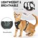 Supet Escape Proof Cat Harness & Leash for Walking - Adjustable & Easy Control - Medium (Chest 10.5-21.5) - Black - Buy Online on GoSupps.com