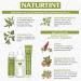 Naturtint 8C Copper Blonde Hair Colour - Ammonia-Free Vegan Formula - Buy Online on GoSupps.com