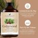 Handcraft Blends Earthy Warmth Set: Cedarwood and Cinnamon Essential Oils (2 x 4 Fl Oz) 100% Pure & Natural for Diffuser Aromatherapy and DIY Projects - Buy Online on GoSupps.com