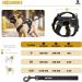 Oneigris Dog Harness & Leash Set | Mini Trooper Puppy Dishes for Extra Small to Medium Dogs - Black XS - Buy Online on GoSupps.com