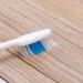 10pcs Soft Bamboo Charcoal Toothbrushes - Eco-Friendly Healthier Dental Care - Buy Online on GoSupps.com