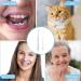 Ouligay 2Pcs End-Tuft Tapered Toothbrushes - Soft Trim, Orthodontic Braces Detail Cleaning - Blue White - 2 Count - Buy Online on GoSupps.com
