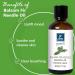 Balsam Fir Needle Essential Oil - 30ml | Scent Oil for Home Crafts & Holiday Aromatherapy - Buy Online on GoSupps.com