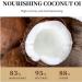 Coconut Body Butter Skin Butter Coconut Oil Moisturiser Coconut Oil for Skin And Body Coconut Oil for Body Coconut Moisturiser Body Coconut Moisturiser Coconut Cream for Skin Mild Moisturizing - Buy Online on GoSupps.com
