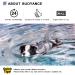 Buy Cit toile Life Jacket for Dogs - Safe & Stylish Shark Design | Water Sports Vest for Small Medium & Large Dogs | Reflective & Comfortable - Gray - Buy Online on GoSupps.com