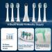 BOWJETE Sonic Electric Toothbrush with 2 Million HD Camera | 3 Modes & Smart Timer | 6 Brush Heads | IPX7 Waterproof | 2-Hour Fast Charge - 50-Day Battery Life - Buy Online on GoSupps.com