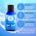 Woolzies Tea Tree Essential Oil 1 Oz - 100% Pure Natural Therapeutic Oil for Acne Psoriasis & Dandruff - Ideal for Face Skin & Hair - International Shipping Available - Buy Online on GoSupps.com