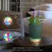 Earnest Living Essential Oil Diffuser - Ceramic Succulent Pot 100ml Night Light Timer & Auto-Off Function for Lavender Aromatherapy - Buy Online on GoSupps.com