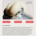 Cr me hydratante au beurre pour peaux s ches sensibles et sujettes l'ecz ma soin hydratant et apaisant imm diat et soulagement de l'ecz ma pour le visage et le corps hydratation de la peau - Buy Online on GoSupps.com